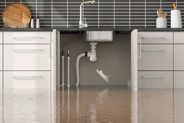 Trusted Mount Vernon, NY Water damage restoration Experts